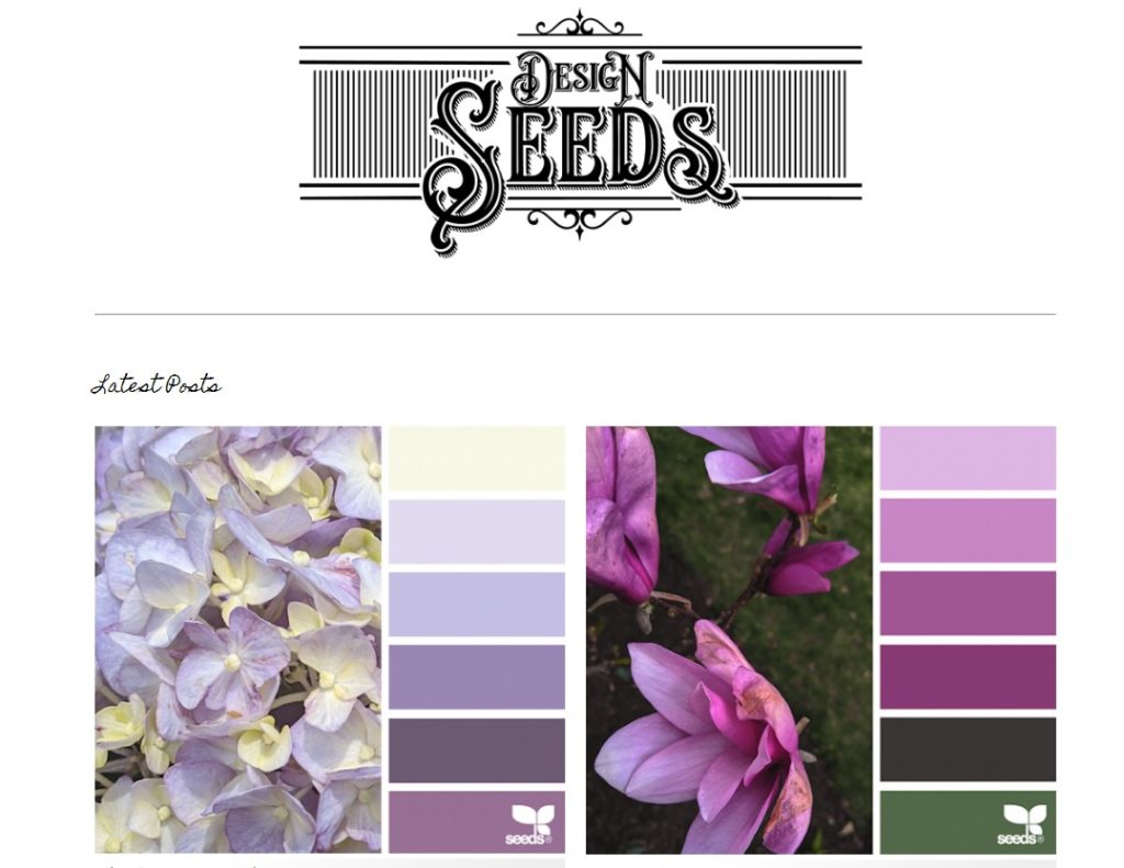 Color Set  Sunset color palette, Seeds color, Design seeds color