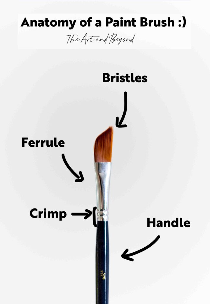 Which Paintbrushes Should Artists Use?