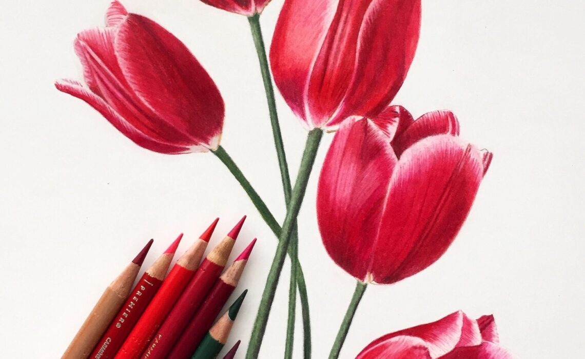 You need these beginner tips for colored pencil drawing | The Art and ...